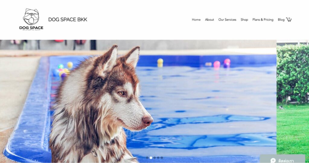 Dog Space BKK Homepage