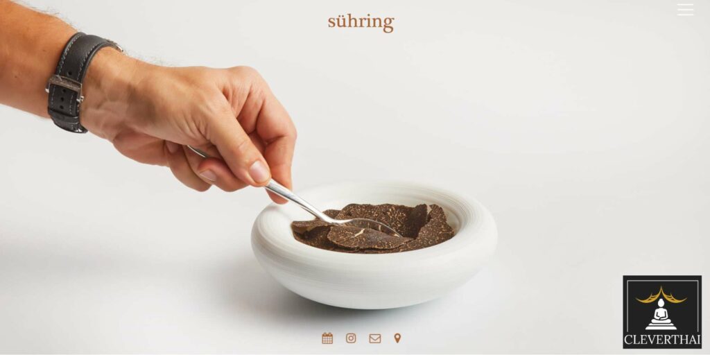 Sühring Homepage