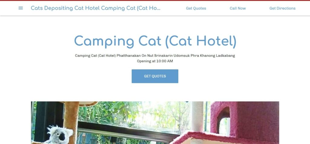 Camping Cat (Cat Hotel​) Homepage