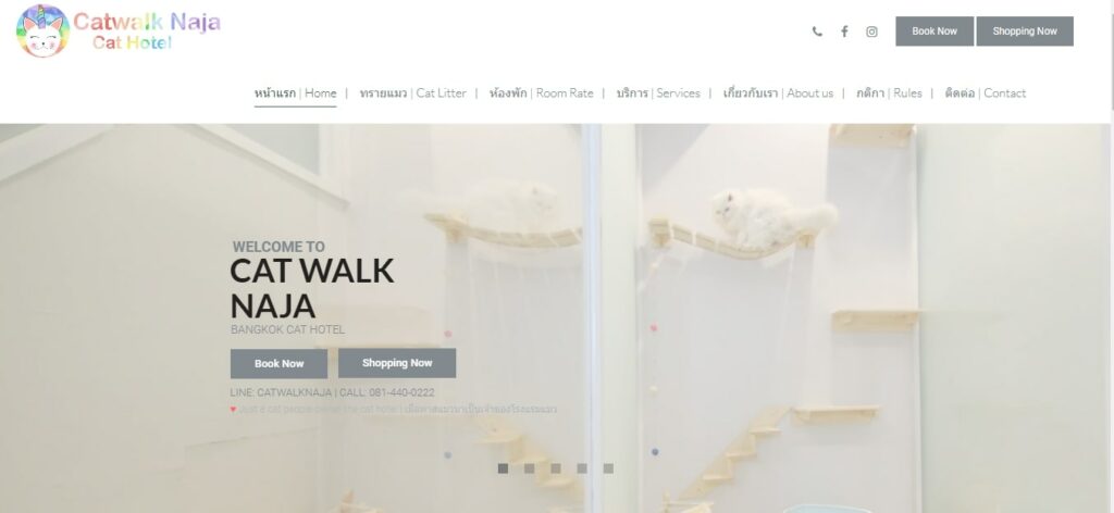 Catwalk NaJa Homepage