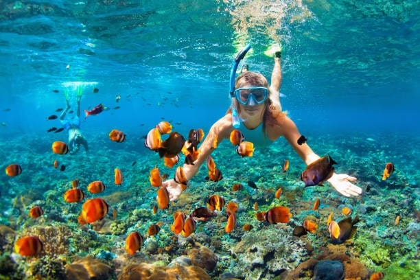 Go for snorkeling and diving.