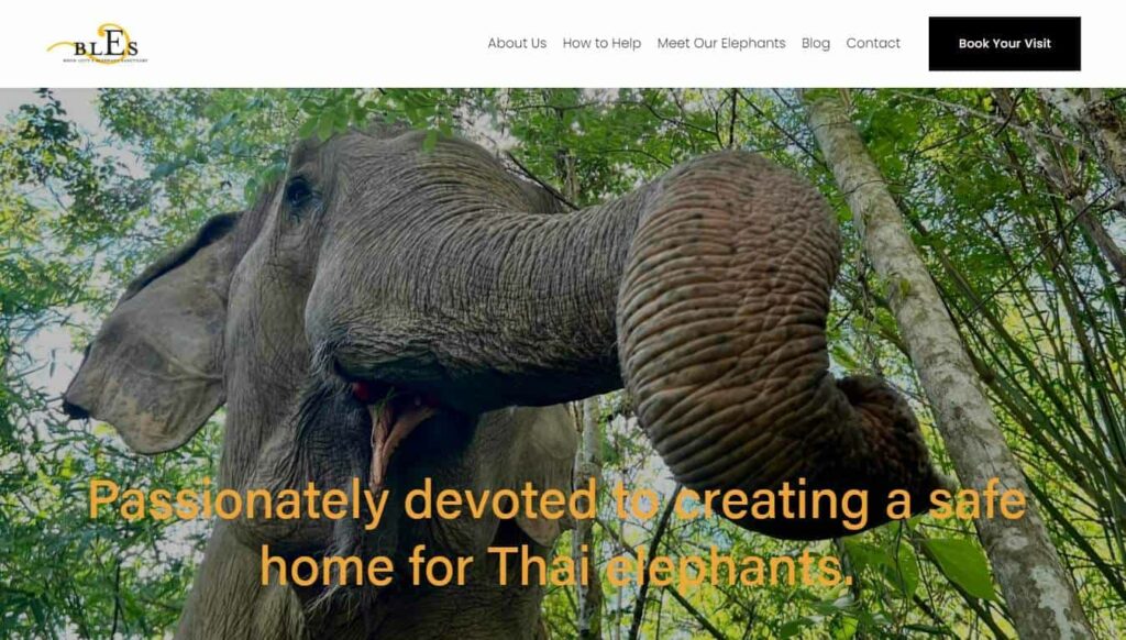 Boon Lott’s Elephant Sanctuary