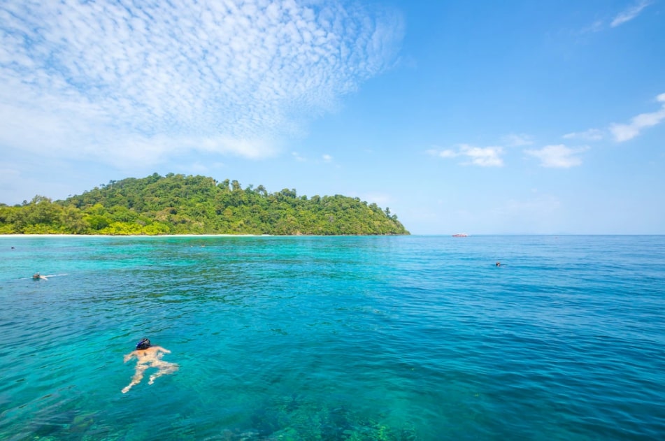 Explore the beauty of the deep and go snorkelling.