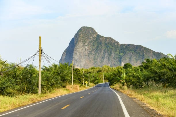 Find out more about Phang Nga Bay through van tours.