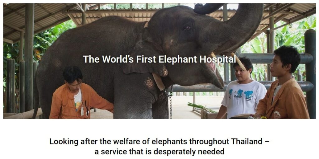 Friends of the Asian Elephant Hospital