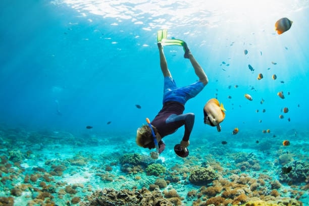 Go for snorkeling and diving.