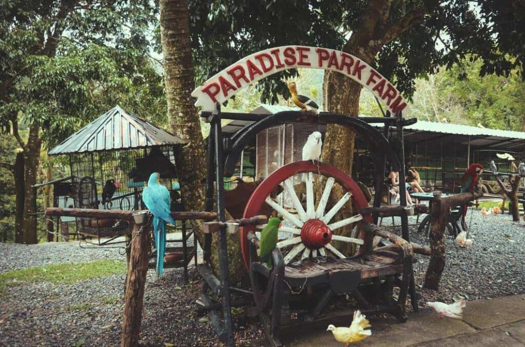 Paradise Park Farm