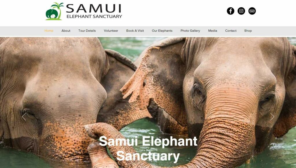 Samui Elephant Sanctuary