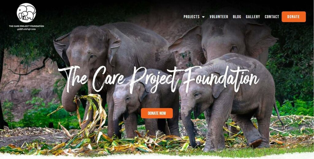 The Care Project Foundation