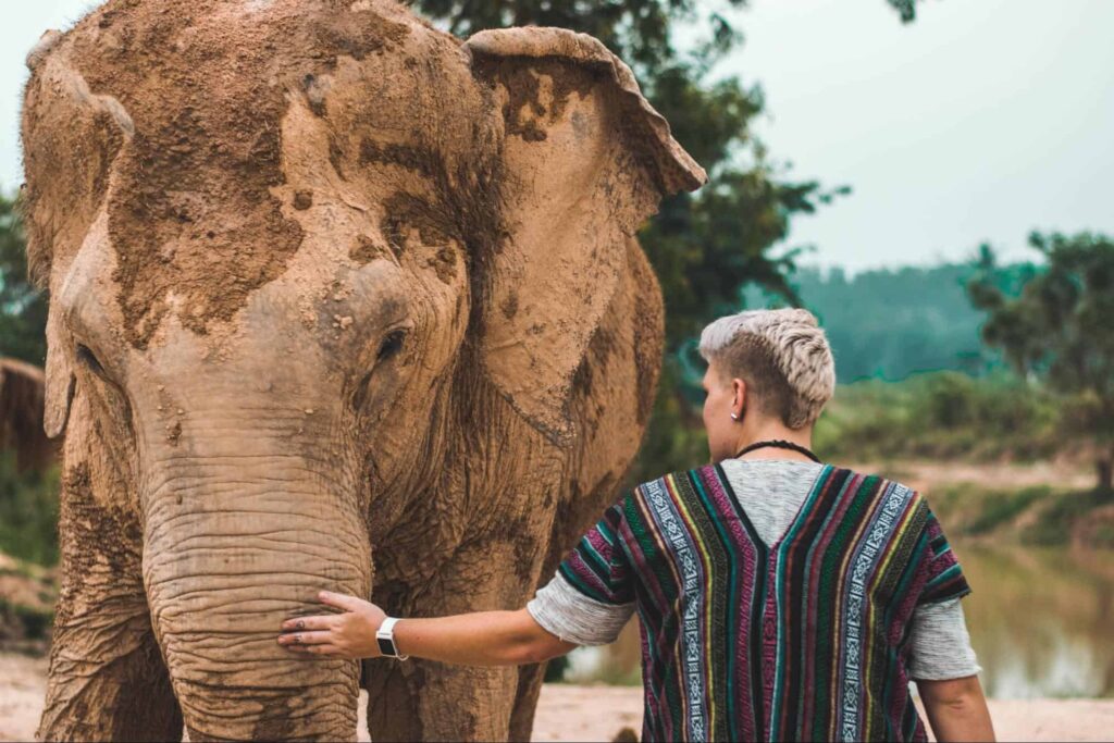 Why should we not ride on elephants in Thailand anymore