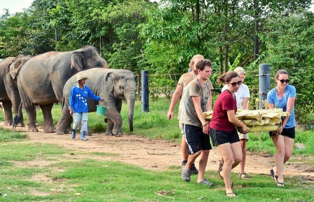 4. Elephant Forest Refuge- GoEco