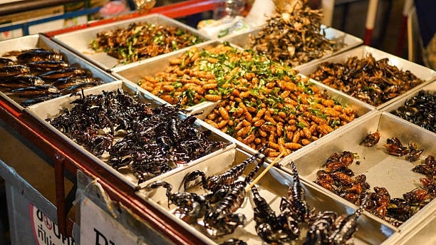 Edible Insects