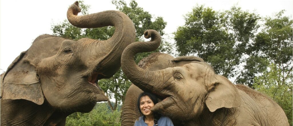 Elephant Nature Park in Chiang Mai