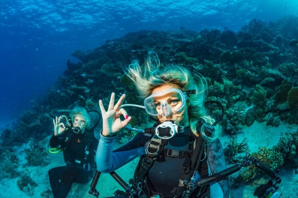 Essential Tips for a Safe Diving Experience in Thailand