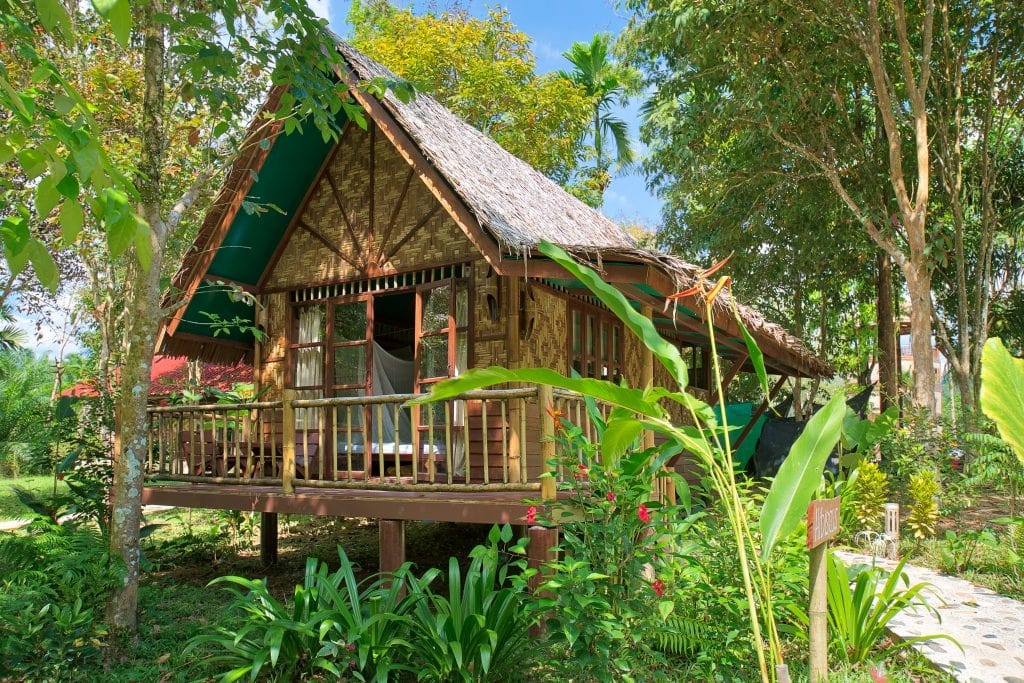 Our Jungle Camp - Eco Resort