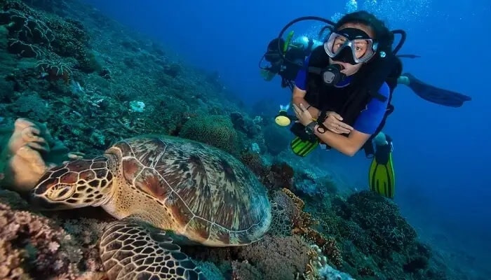 Scuva Diving in Koh Samui