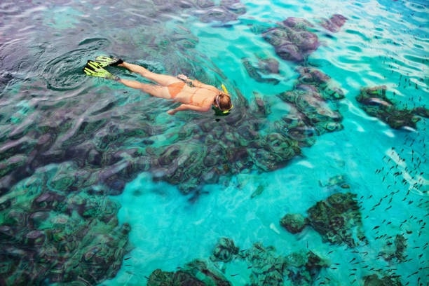 Top Snorkeling Locations in Ko Lipe