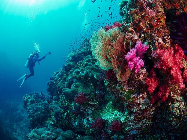 What’s so special about scuba diving in Thailand