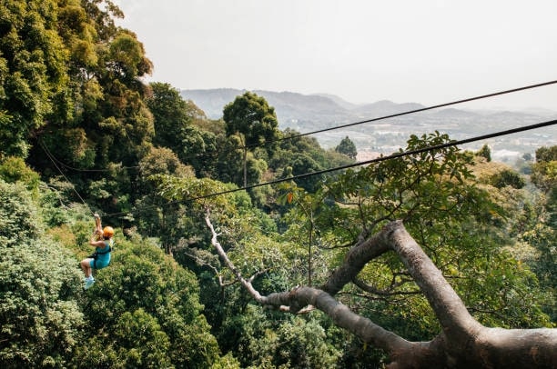 Go on a jungle trek or ziplining adventure 