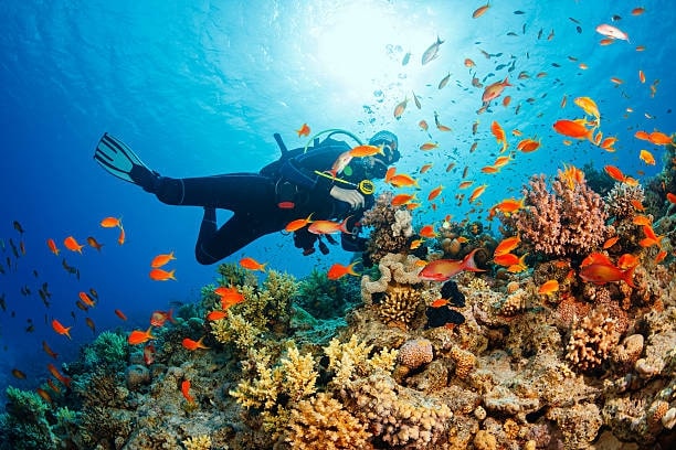 Go snorkelling or scuba diving