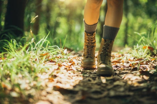 Hiking ShoesBoots