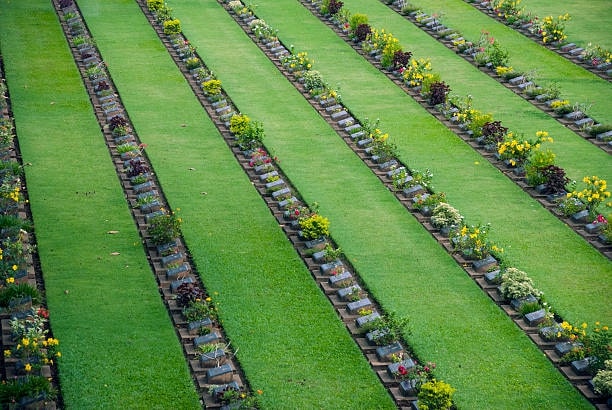 Kanchanaburi War Cemetery