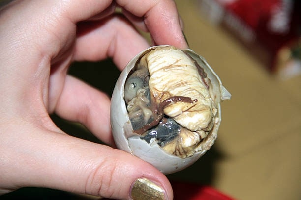 Khai Khao (Balut)