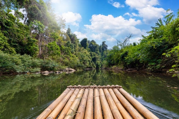 Khao Sok National Park