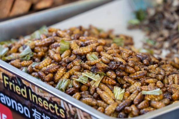 Nhon Mhai (Silk Larvae)