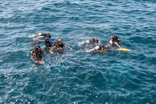 Research and select a scuba certification school