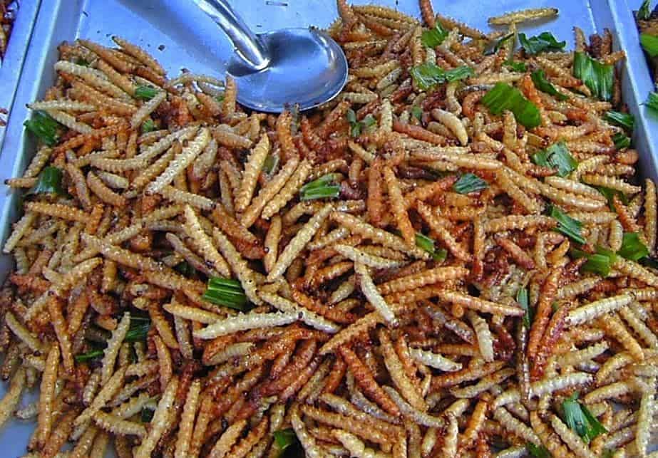 Rot Duan (Bamboo Worms)