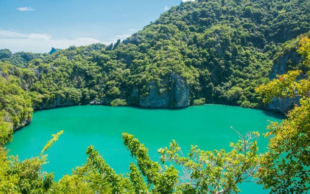 Take a day trip to Ang Thong Marine Park