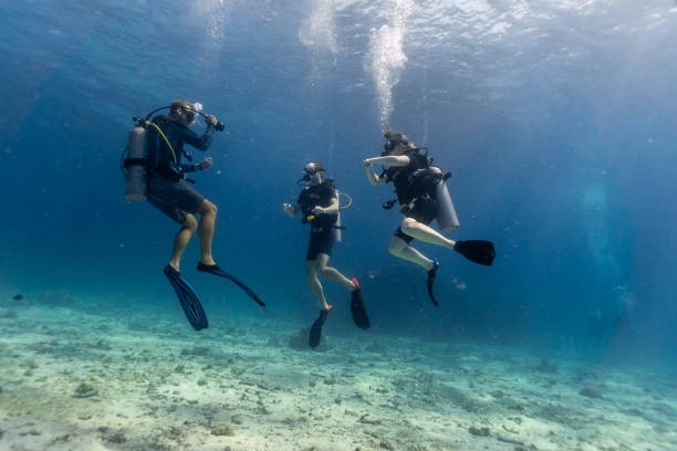 Undertake open water dives to apply learned skills